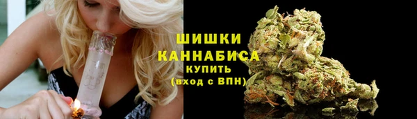 гидра Верхний Тагил