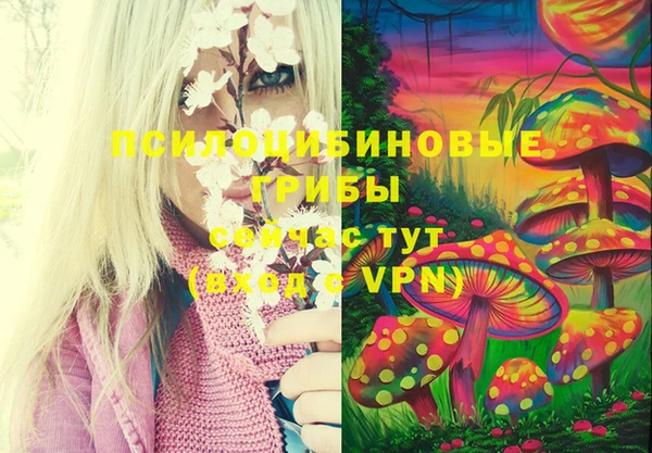 бутик Бородино