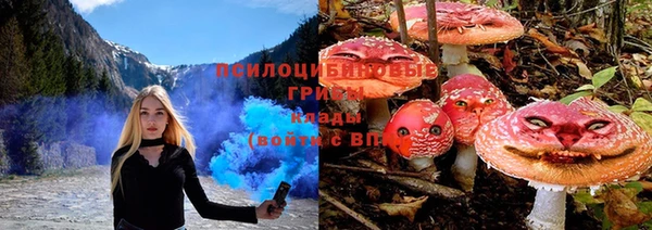 прущий лед Бронницы